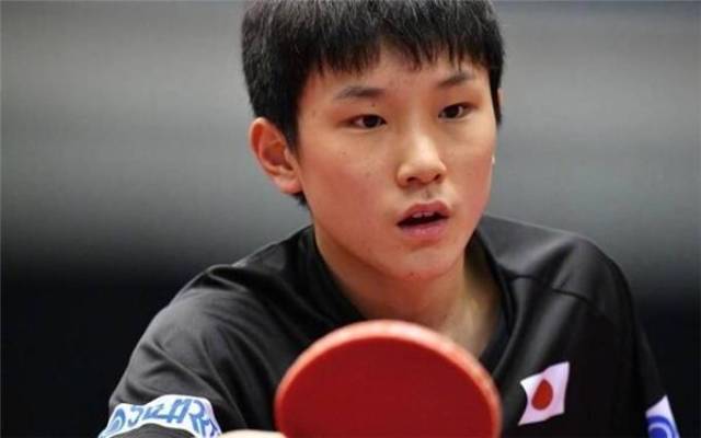 要么续约 要么续约