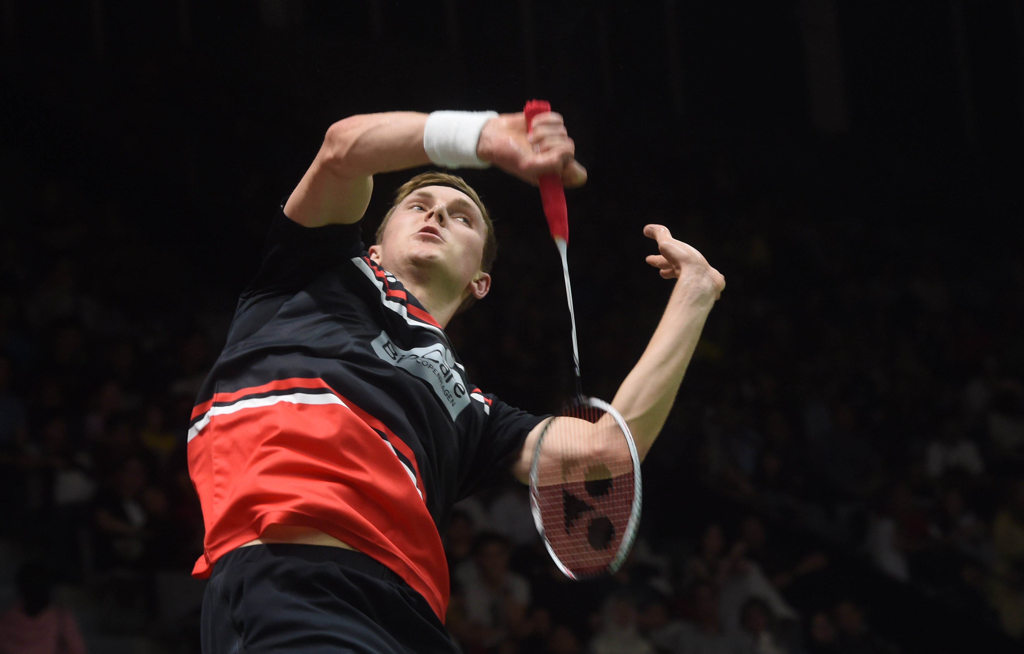 丰向球迷们 丰向球迷们